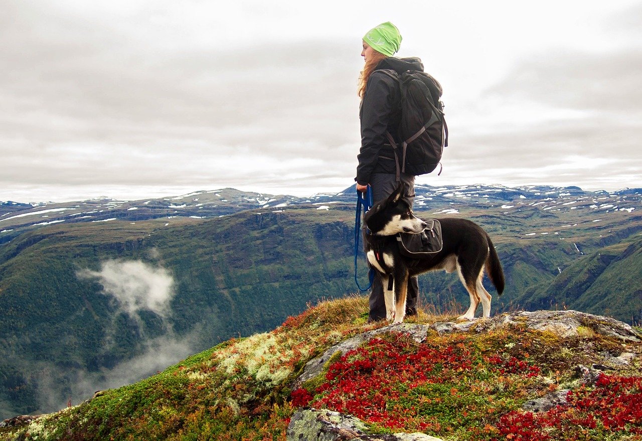 Backpacking With Dogs: How to Keep Your Pet Safe and Happy